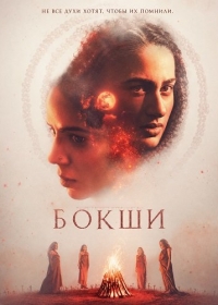 Бокши